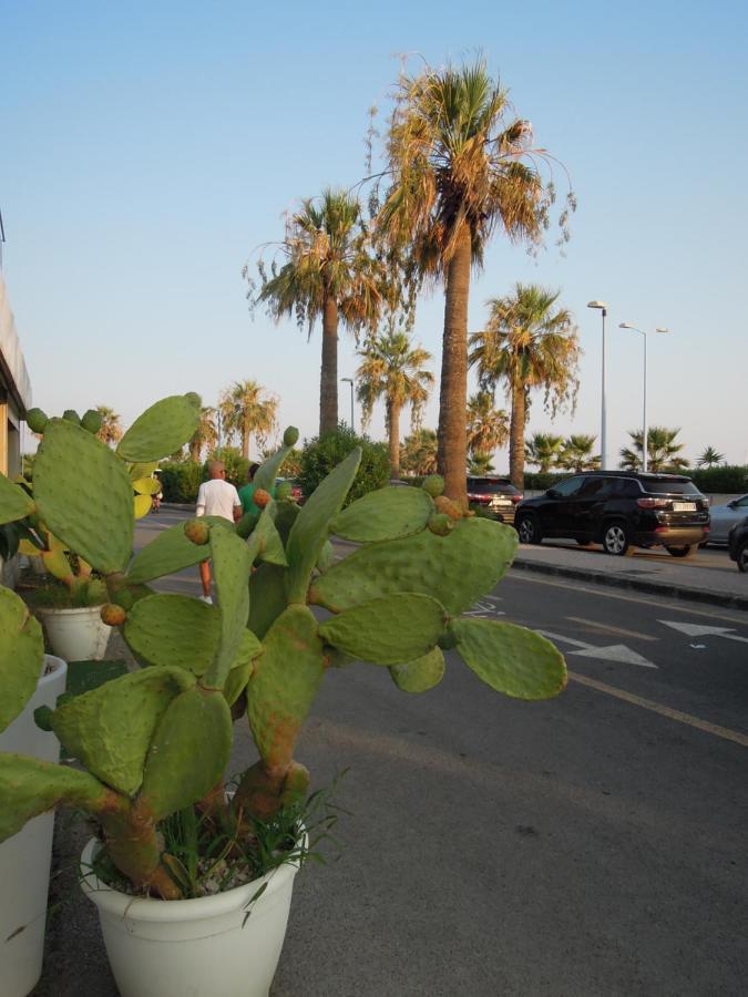 Casa Al Mare Circe Leilighet San Leone Eksteriør bilde